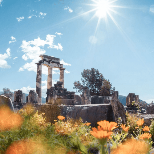 Maltzaris Group - ΔΕΛΦΟΙ - ΑΡΑΧΩΒΑ