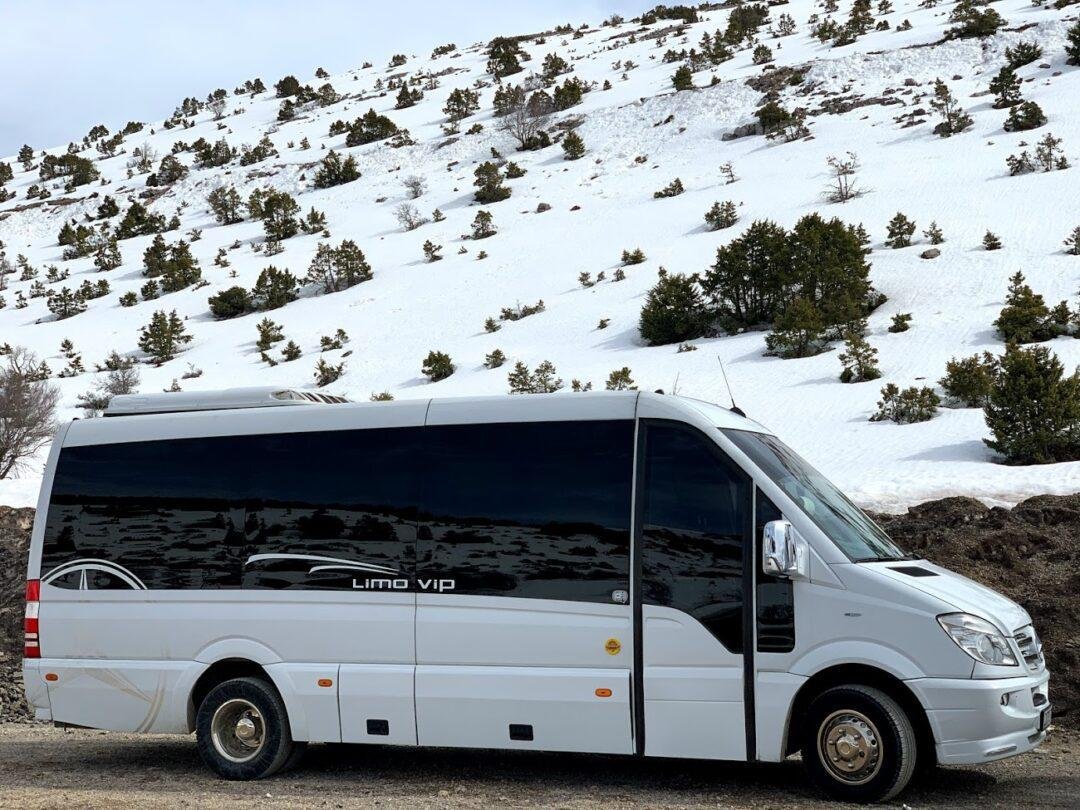 Maltzaris Group - Limo VIP