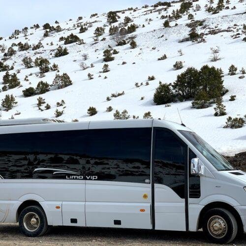 Maltzaris Group - Limo VIP