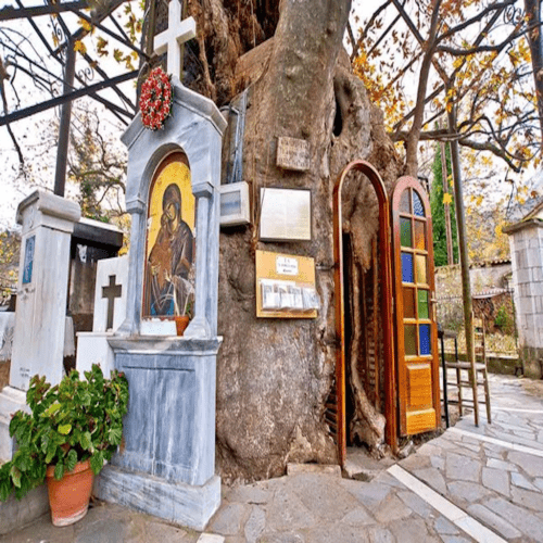 Maltzaris Group - παναγια-πλατανιωτισσα